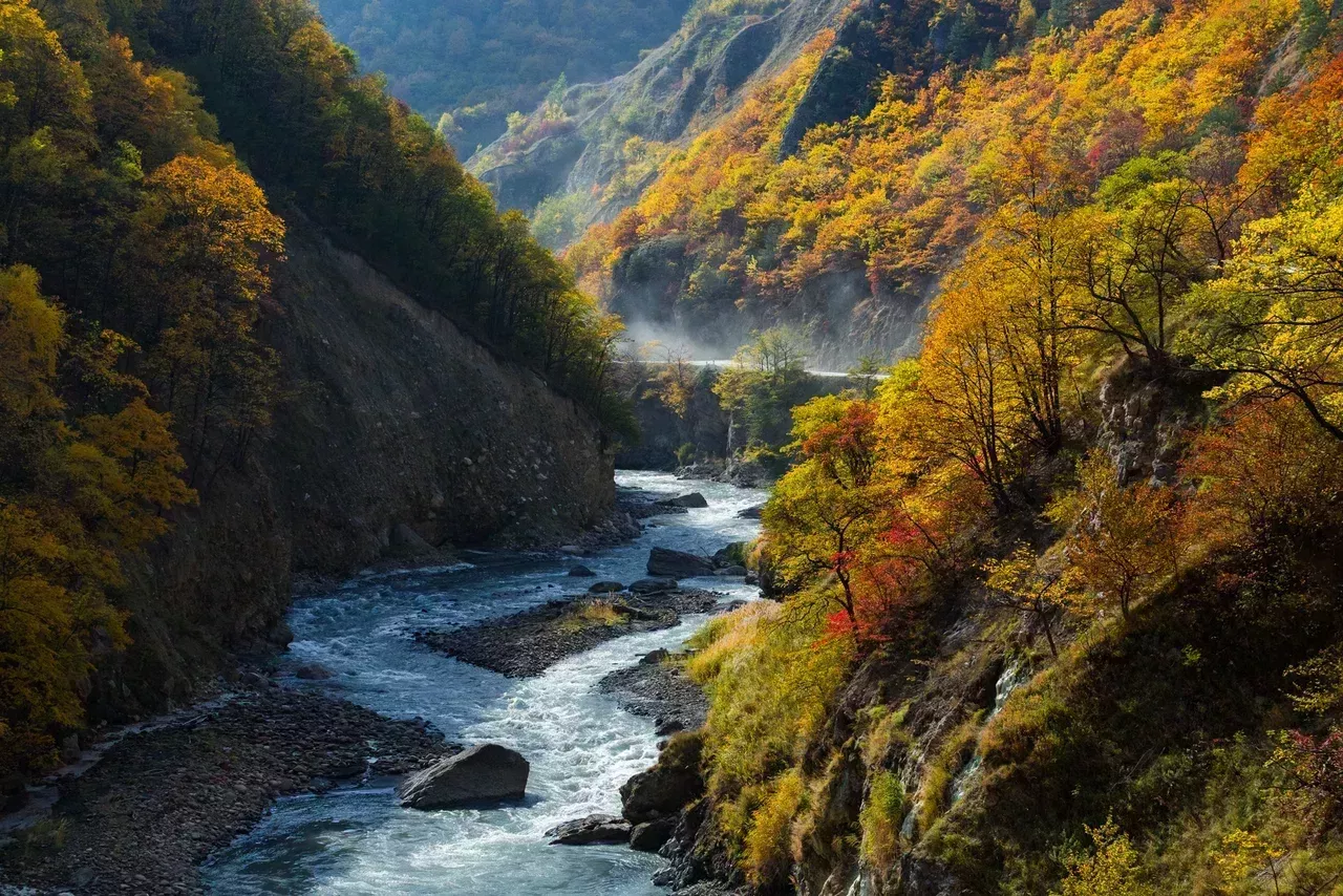 ​Аргунское ущелье